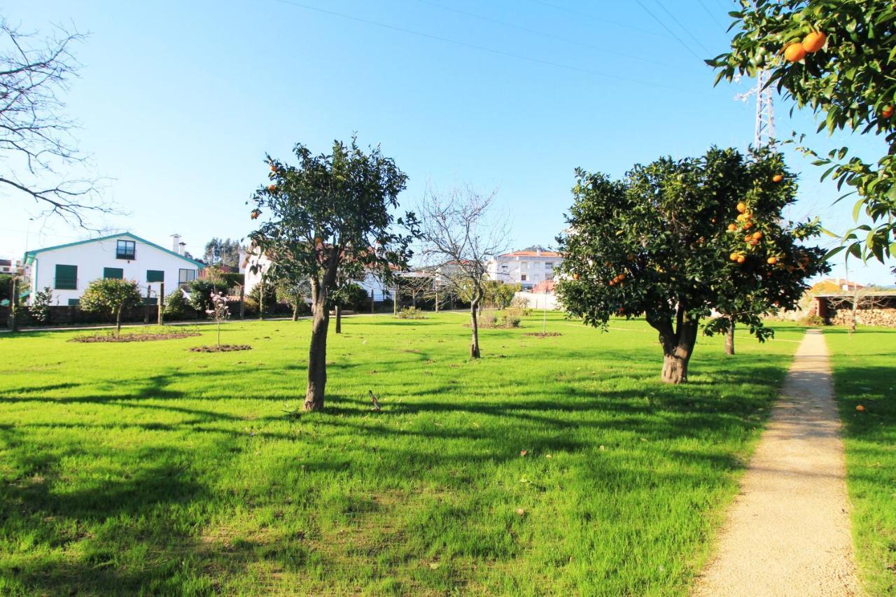 Casa Dos Ouricos Villa Ponte de Lima Ngoại thất bức ảnh