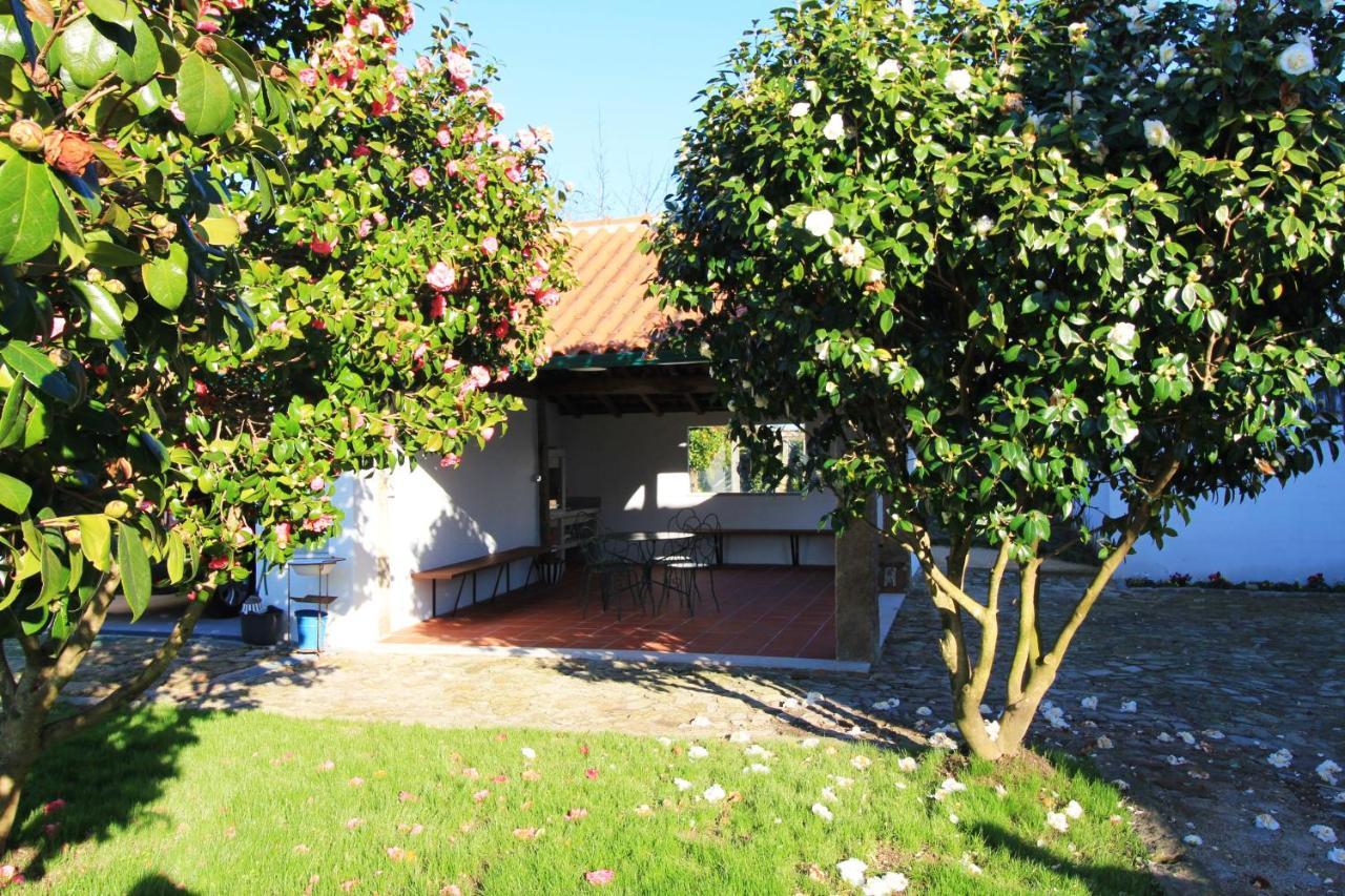 Casa Dos Ouricos Villa Ponte de Lima Ngoại thất bức ảnh
