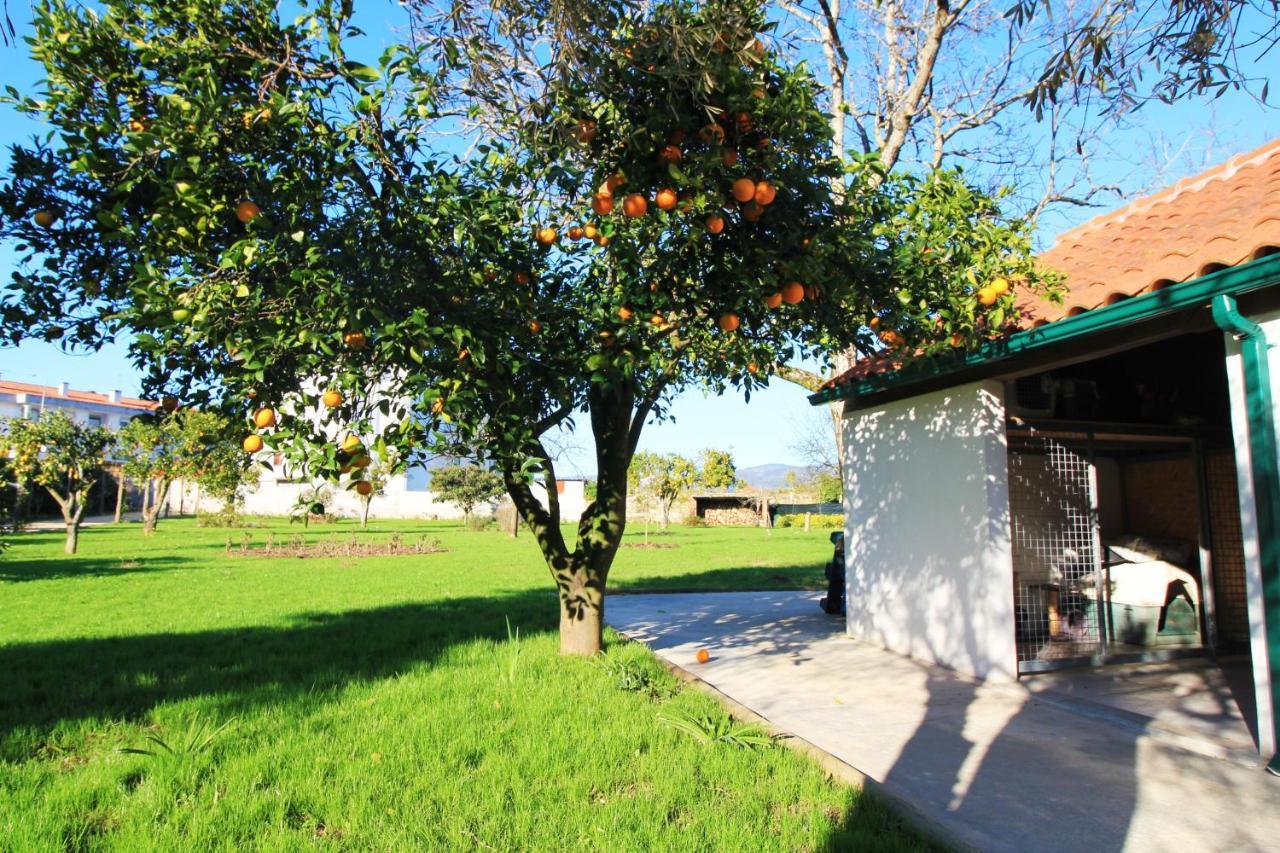 Casa Dos Ouricos Villa Ponte de Lima Ngoại thất bức ảnh